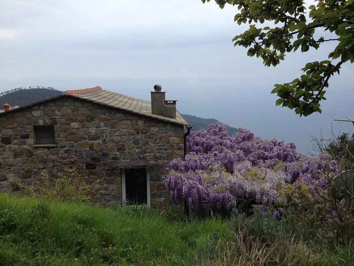 Cottage La Torre Del Pittore 보나솔라 외부 사진