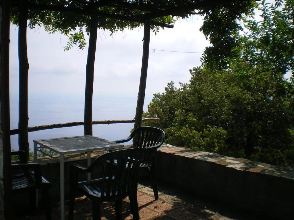 Cottage La Torre Del Pittore 보나솔라 외부 사진