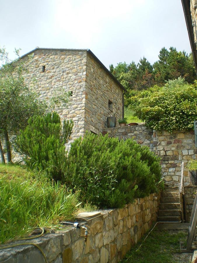 Cottage La Torre Del Pittore 보나솔라 외부 사진