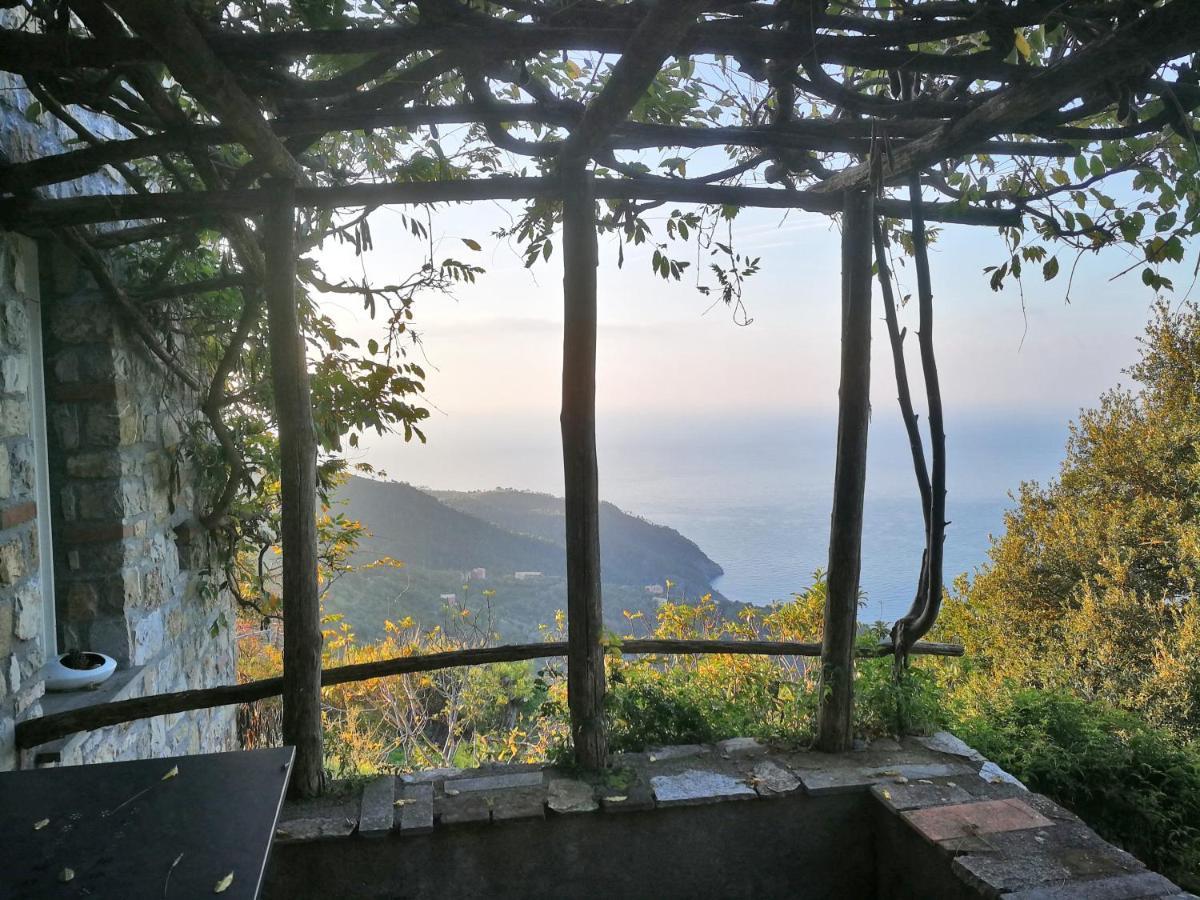 Cottage La Torre Del Pittore 보나솔라 외부 사진