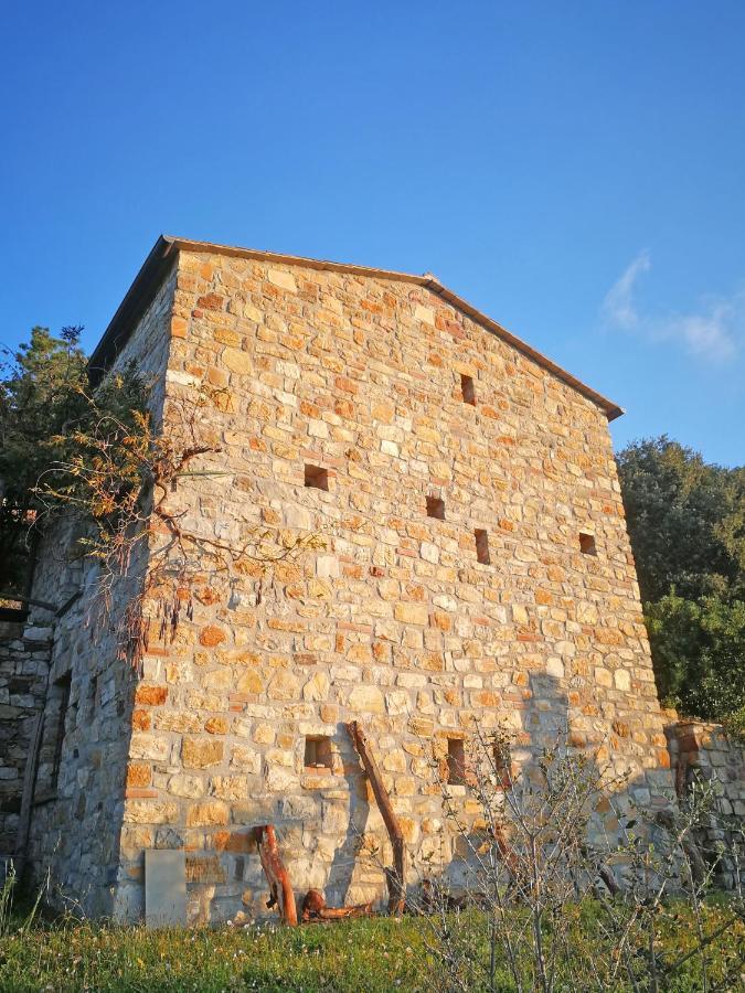 Cottage La Torre Del Pittore 보나솔라 외부 사진